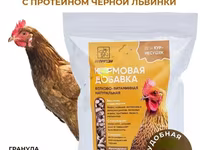 Витамины для кур несушек с Черной львинкой — عکس 5