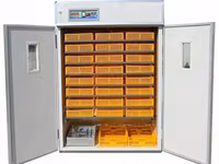 Incubatoare-ouă Automate - fii in rind cu tehnologiile noi. — புகைப்படம் 5
