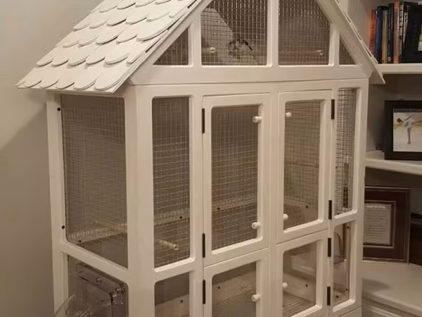 ✨ Sevimli heyvanlarınız üçün əl işi qəfəs və yuvalar 🏠💛 🦜 Quşlar, 🐕‍🦺