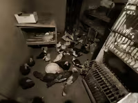 Turkeys — снимка 3