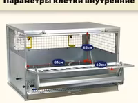 Клетка для кур-несушек «Профессионал» (1 ярус, до 10 голов) — الصورة 4