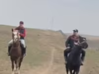 Aygʻir, Kazakh horse — 3-rasm