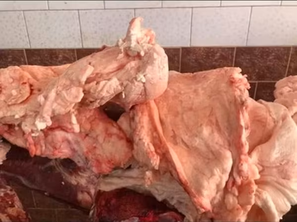 Говяжий жир- бычий кому интересно Есть тонкие так и толстые почечные