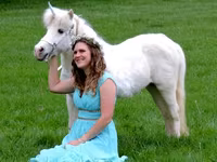 Stute, Miniature horse — Foto 1
