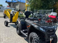 Tocator de lemne (Briggs & Stratton 14 CP) — foto 3