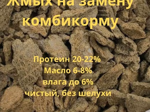 Жмых подсолнечный ракушка