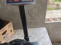 Australorp — fotografija 3