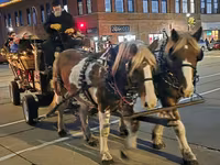 Koń, Pinto horses — zdjęcie 5