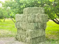 Խոտի տուկ, խոտ, թարմ խոտ — عکس 1