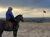 اسب نر, Hanoverian — عکس 3