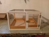 Dovşan,hamster,şinşila,bildirçin,cücə,xamyak,pişik,quş ve s kimi ev — fotografija 1