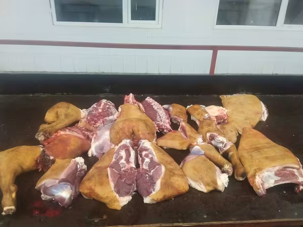 КОЙ УЙ ЖЫЛКЫ СОЙОБУЗ