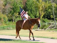 اسب نر, Quarter Horse — عکس 7