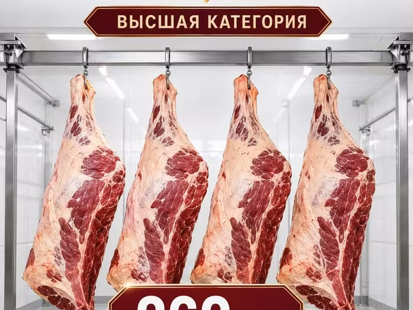 Туша