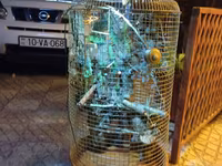Dekorativ quş qəfəsi – əl işidir - Material: metal tor, taxta baza və — foto 4