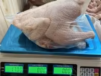 Chickens — รูปภาพ 4