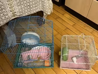Hamster və ya kiçik gəmiricilər üçün iki ədəd qəfəs komplekti Mavi — zdjęcie 2