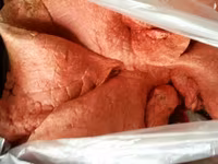 Субпродукты говяжьи — عکس 3