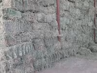 Продаю тюки чистый клевер второй и третий кос без доставки с места — zdjęcie 3