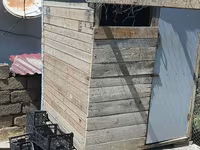 Taxta göyərçinxana – hazır konstruksiya Məhsul təsviri: - Tam — foto 4