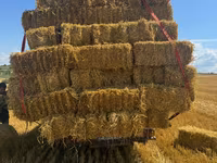 Продам солому овса . — foto 1