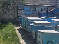 Arıçılıq üçün hazır pətək və avadanlıq dəsti - Şəkillərdə gördüyünüz — عکس 4
