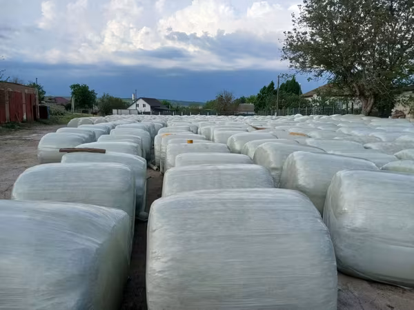Vindem lucerna verde in baloti infuloata senaj