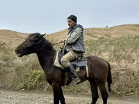 Pastuv, Azerbaijan horse — fotografija 2