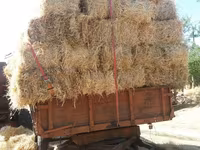 Продам солому, сено, люцерну — الصورة 2