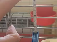 Клетка для птиц 705040 см (с кормушками) / Bird Cage — عکس 3