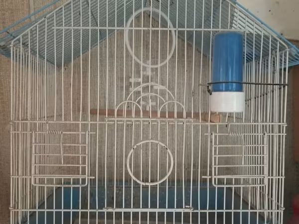 Quş qəfəsi dəsti - Material: möhkəm metal barmaqlıqlar, plastik