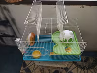 Hamster üçün tam dəst qəfəs uzunluqu 55 sm hündürlük 45 sm eni 30 sm — Foto 2
