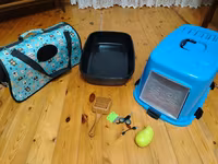 Ev pişiyi üçün aksesuar dəsti KOMPLEKT SATILIR !!! - Qapalı pişik — fotografija 3