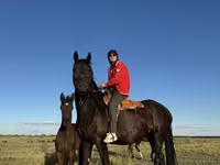 مادیان, Friesian — عکس 8