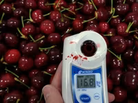 Refractometre și salinometre digitale Atago pentru fructe, siropuri, gemuri și multe altele! — عکس 1