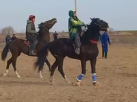 Konji (partija, pol nije naveden), Коњи — fotografija 1