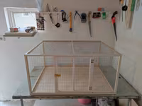 Papuqay,dovşan,hamster,şinşila,bildirçin,cücə,xamyak,pişik,quş,tısbağa — foto 2