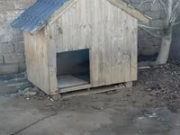 Taxta it evi - Material: qalın taxta karkas, üzəri taxta lövhələr - — รูปภาพ 2