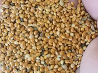 Vind nutret granulat la pui — फ़ोटो 4