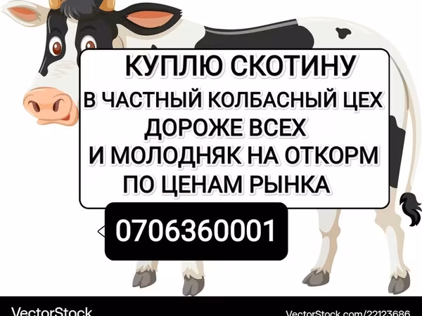소