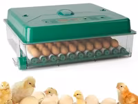 Incubator De Oua Des Champs Eco Profi C-70 — сүрөт 3