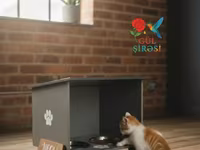 Məhsul: Pişik temalı qidalandırıcı stendlər - Dizayn: Taxta əsaslı — รูปภาพ 3