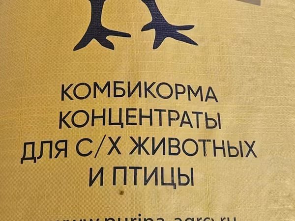 Broyler cuce yemleri
Rusiya istehsali PURINA