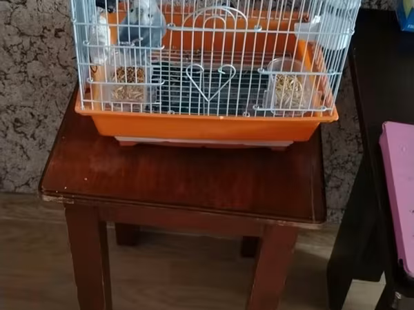 Tutuquşu qəfəsi dəsti - Rəng: narıncı altlıq, ağ metal barmaqlıqlar -