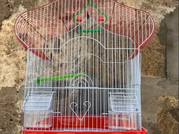 Վանդակի չափը 55x26x33