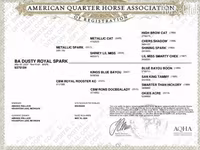 Kuda betina, Quarter Horse — foto 4