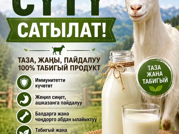 Козье молоко от хозяйства «Тилекбай» - 100% натуральный продукт