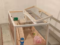 Hamster/kiçik gəmirici üçün geniş taxta — รูปภาพ 3