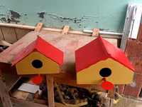 Quş yuvaları Endrimdə 25 azndən 15 aznə. solmayan boya davamlı — عکس 3