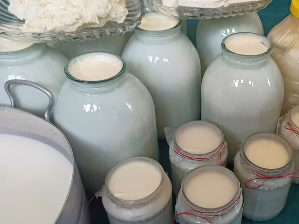 1 ltr --1 m 50 qəpik ( Süd ) 3 kq balon --4 m 50 qəpik (qatiq) 600 qr